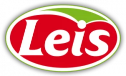logo-leis-gmbh